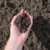 Garden Soil