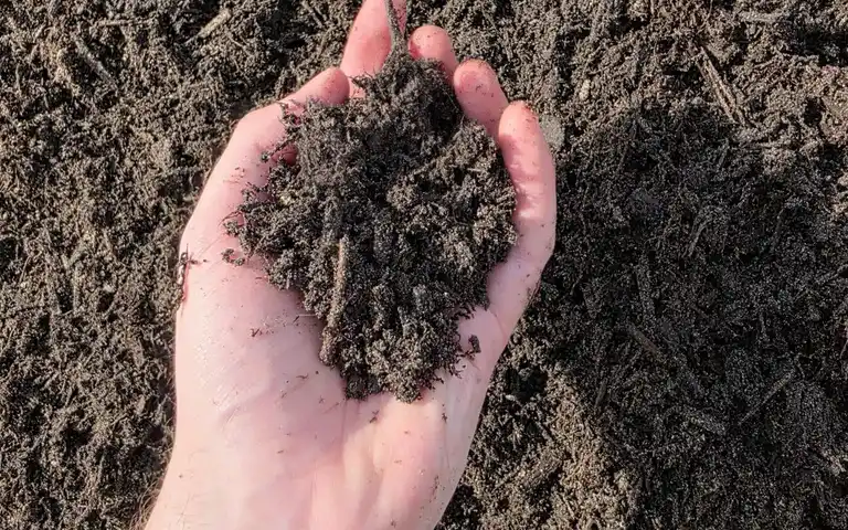 Garden Soil