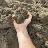 Fill Dirt