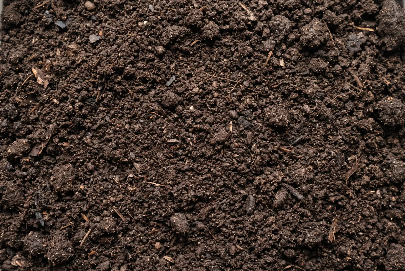 Garden Soil - Image 4