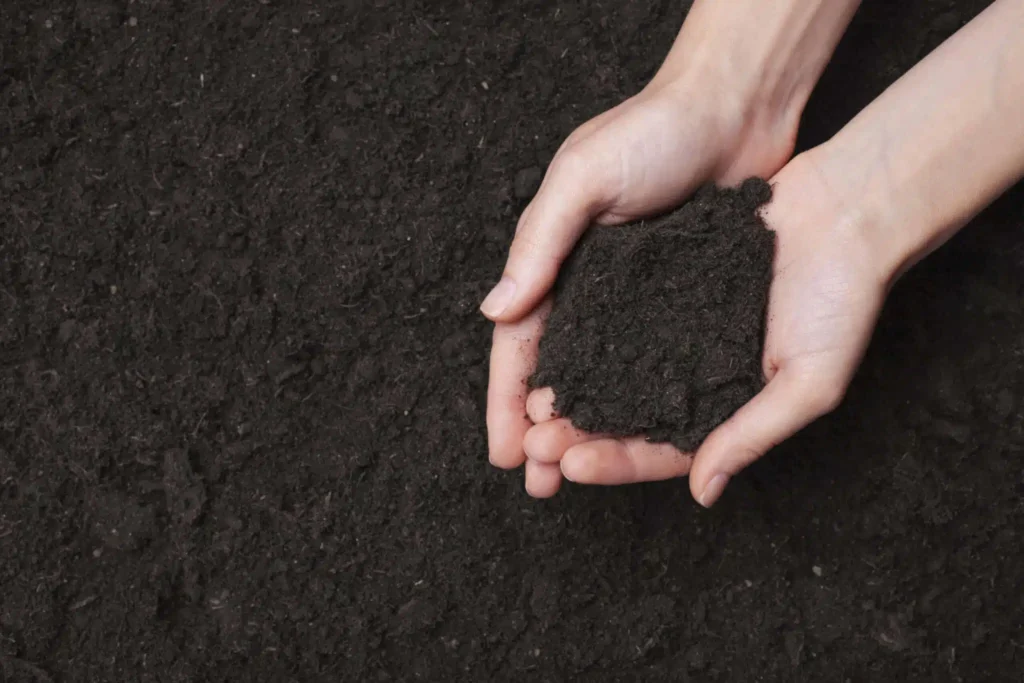Topsoil