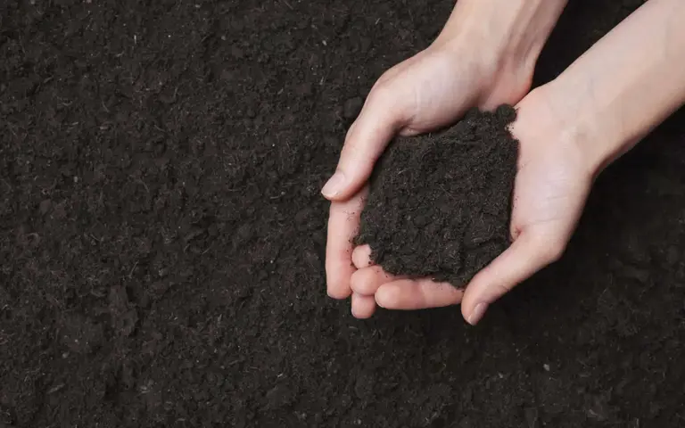 Topsoil