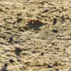 Decomposed Granite