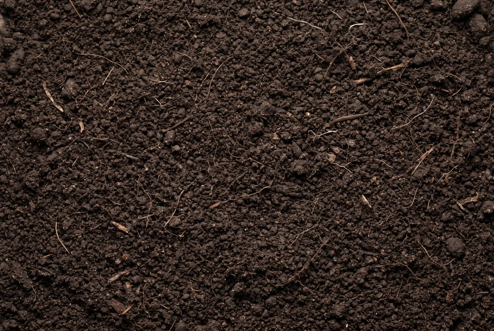 Topsoil - Image 4