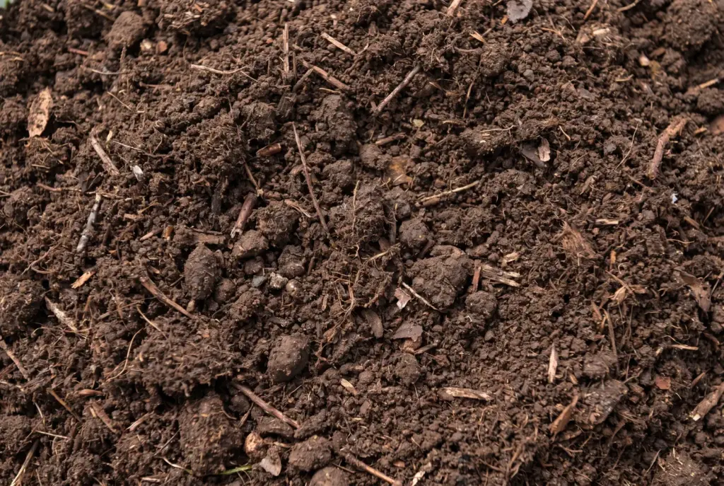 Compost in North Carolina