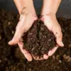 Compost