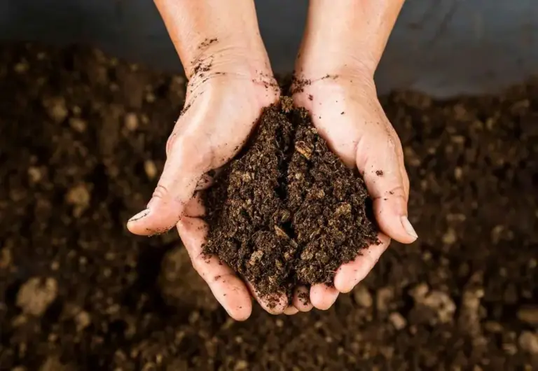 Compost