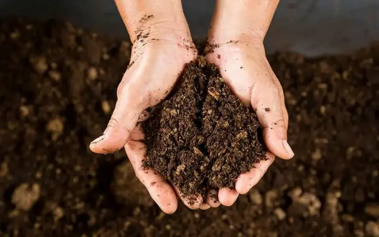 Compost